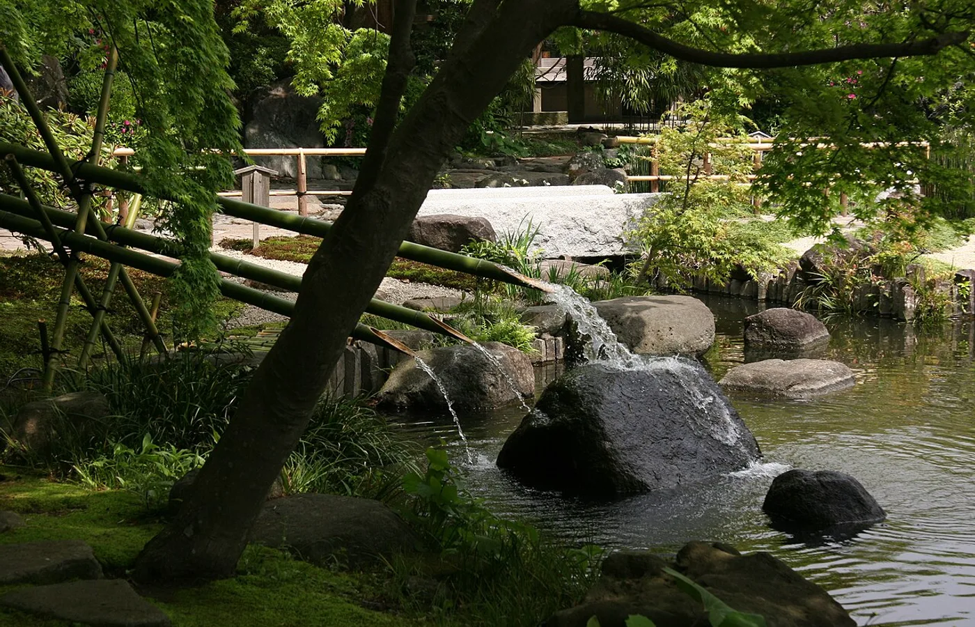 秋の候補にしたい鎌倉長谷寺